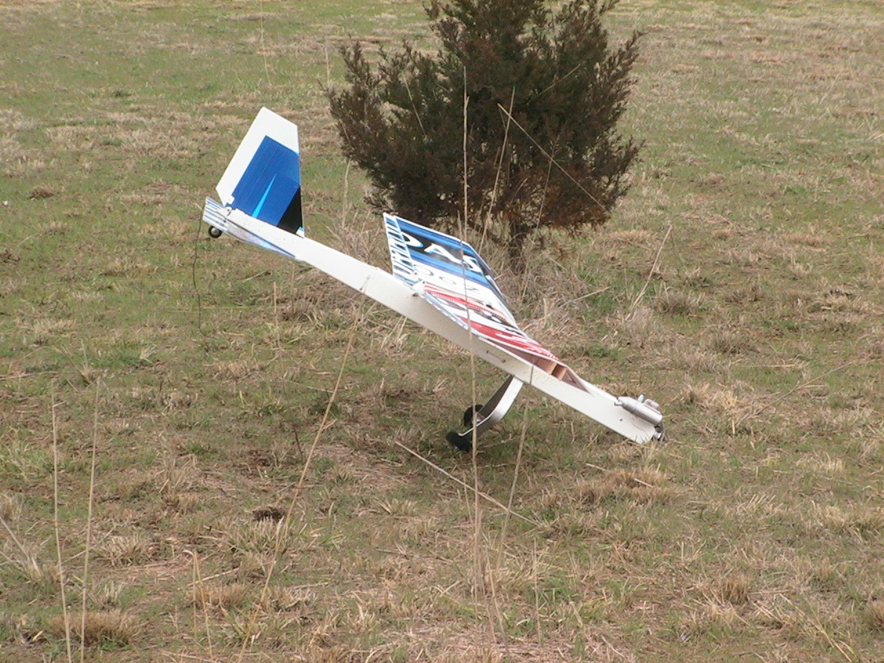  On my first day of flying the Budsani, I clipped the little tree in the background while landing.